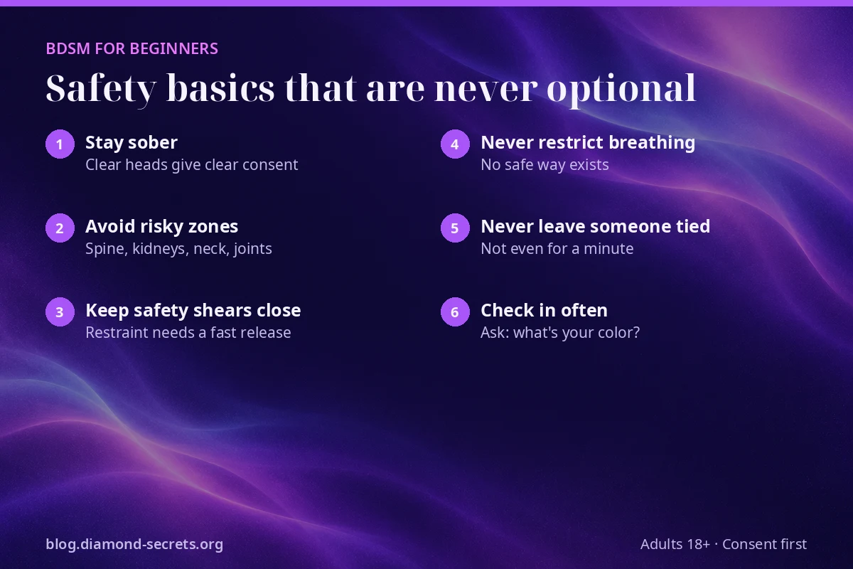 Checklist of six safety basics every guide to BDSM for beginners should include